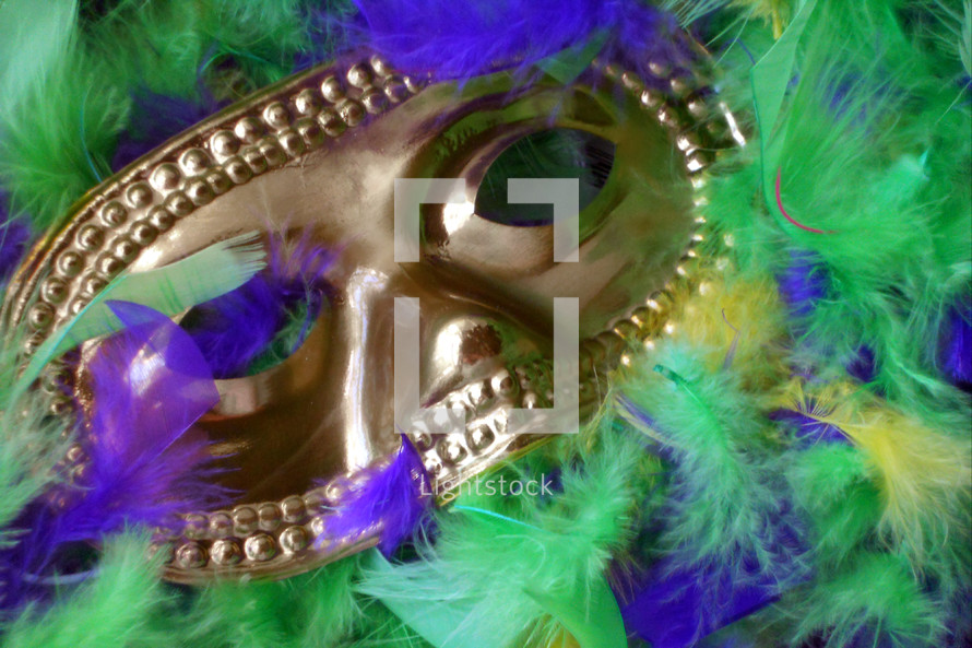 Mardi Gras mask and feathers. 