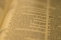 pages of a Bible background 