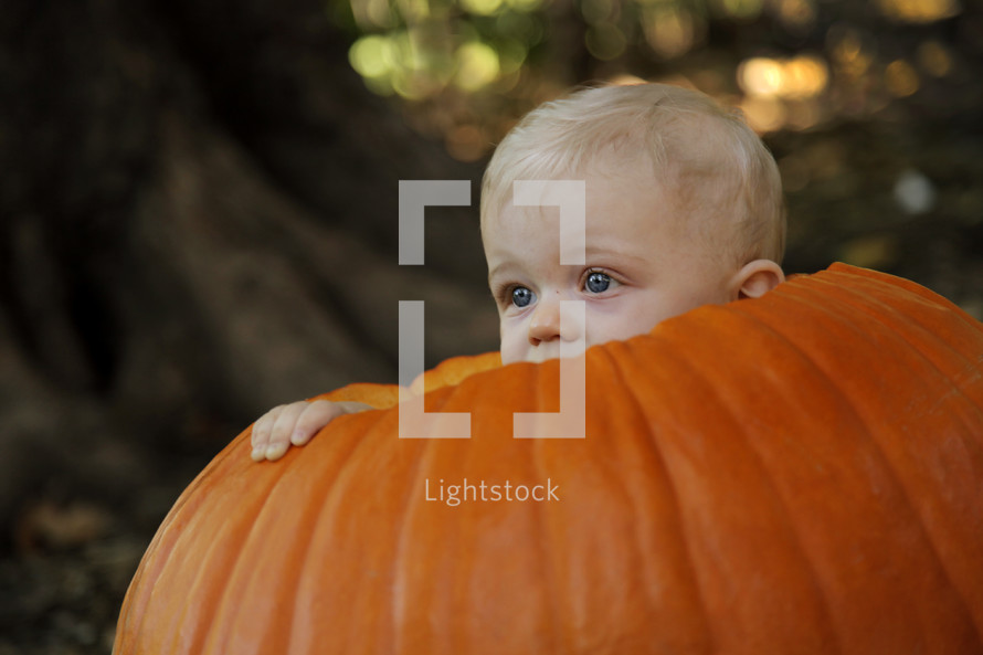 infant boy in a pumpkin 