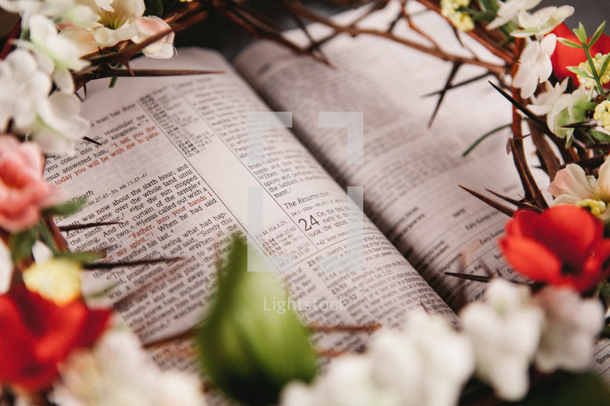 flowers and crown of thorns on the pages of a Bible 