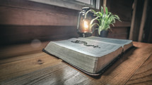 Bible, houseplant, and lantern in a window 