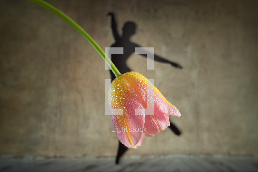 Abstract Shadow Ballerina Dancing Wearing Skirt from Tulip Flower