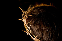 crown of thorns on the head of Jesus 
