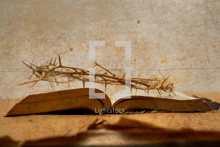 crown of thorns on an open Bible 