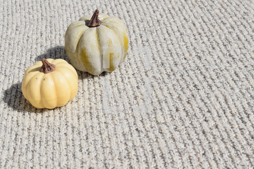 two pumpkins on a knit blanket 