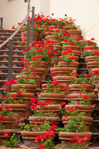 potted plants on steps 