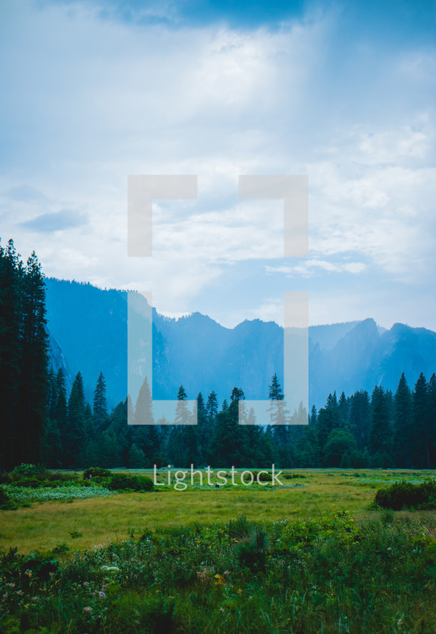 Meadow and forest in a valley and mountain peaks | Landscape | Nature | Peaceful | Peace | Tranquility | Sky | Day | Light | Green  | Background 