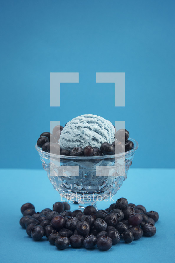 blueberry ice cream 