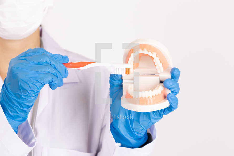 dentist demonstrating teeth brushing 