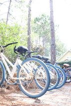 rows of parked bicycles 