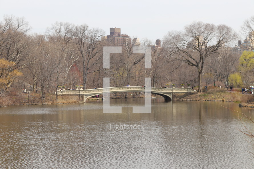 bridge over Central Park lake 