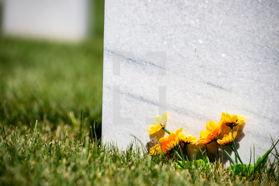 yellow flowers beside a grave 
