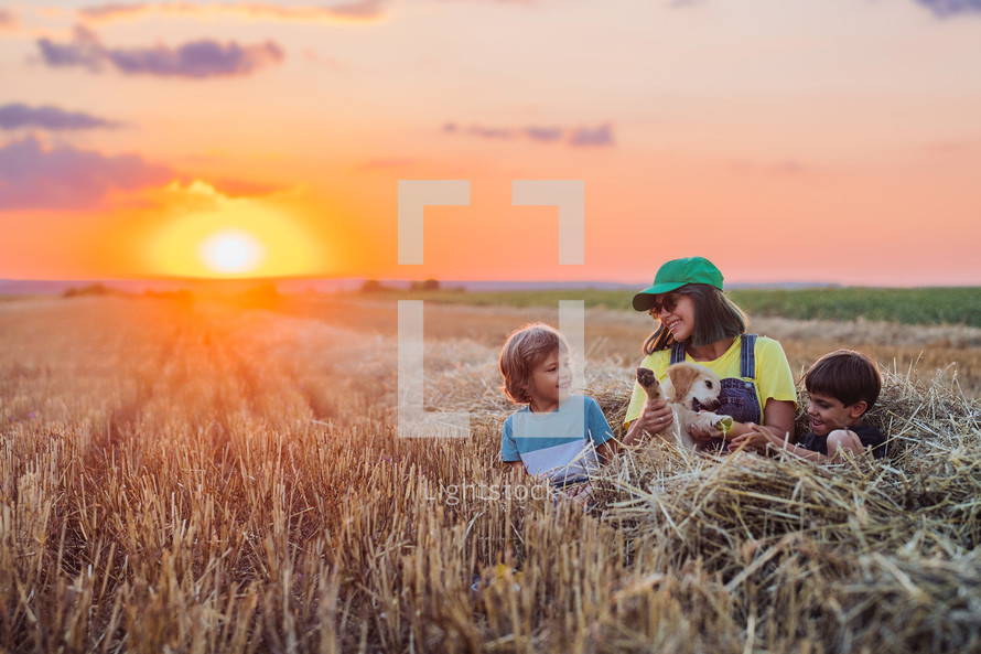 Babies brothers twins with mother and golden retriever puppy in wheat field. Amazing sunset light. Kids laughing, playing with doggy. Happy friendly pet, cinematic unforgettable moments. High quality