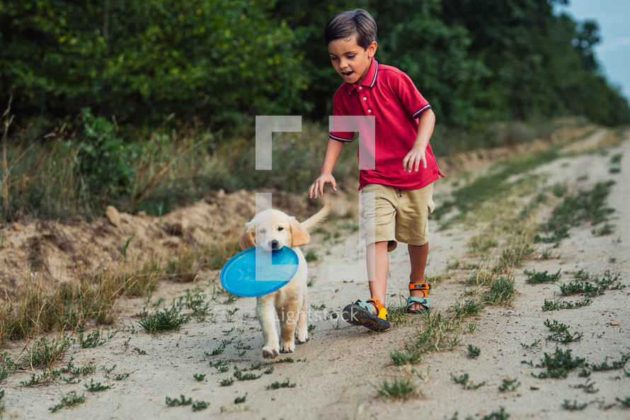 Handsome little boy playing frisbee with his beloved golden retriever puppy dog on countryside road, nature.