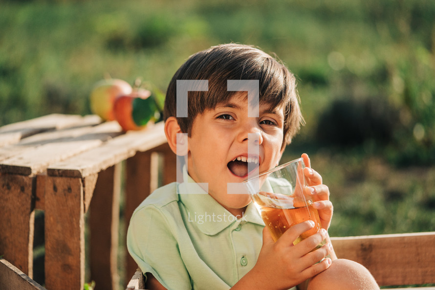 Cute little toddler boy drinking apple juice in wooden box in orchard. Son in home garden explores plants, nature in autumn countryside. Amazing scene. Family, love, harvest, childhood concept 
