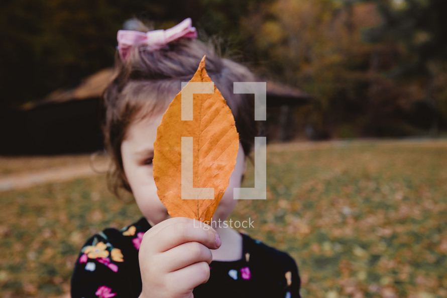 toddler girl holding a fall leaf in front of her face 