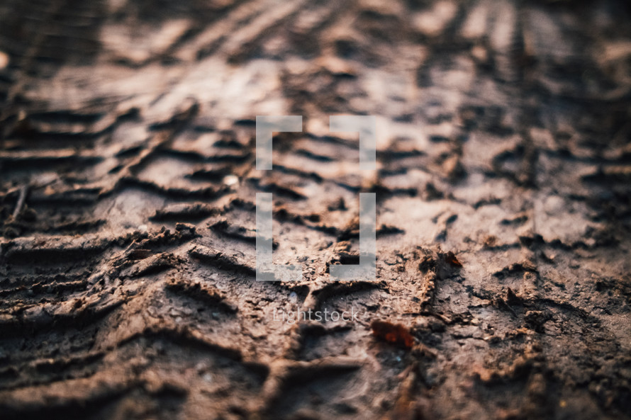 tire tracks in mud closeup 