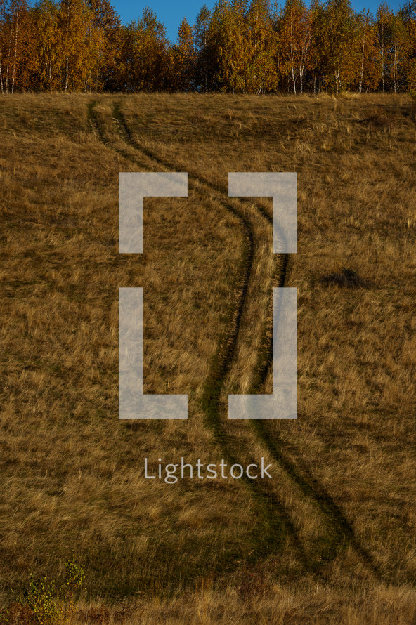tracks in a field 
