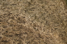 Granite rock texture