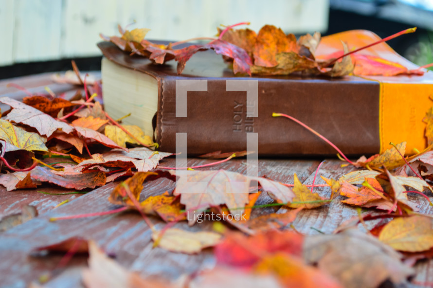 Closed Bible, Picnic Bench and Autumn