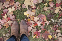 shoes and leaves in the grass 