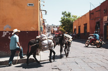 donkeys carrying sacks on the streets in San Miguel 