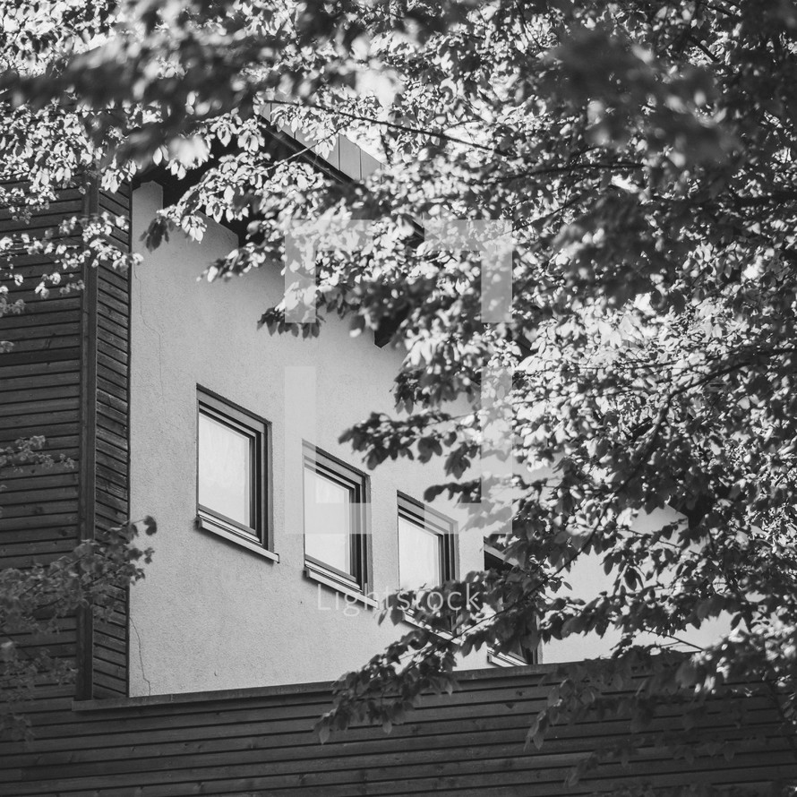 house windows and tree in black and white 