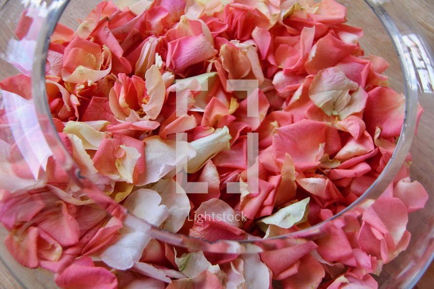 pink rose petals in a glass bowl 