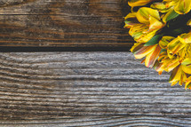 yellow flowers on wood 