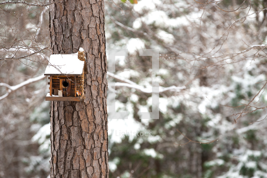 a bird house on a tree trunk in winter 