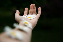 white daisies on a woman's arm 