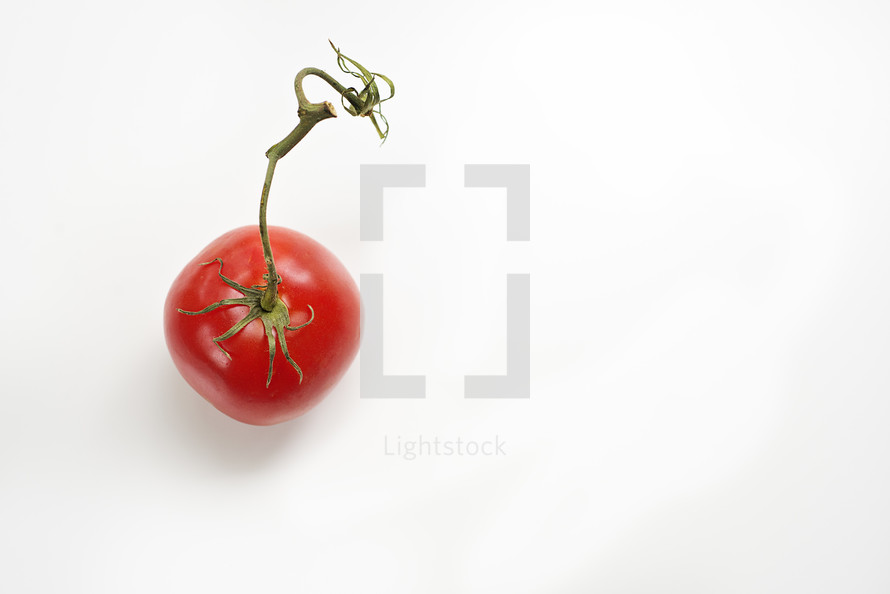 red tomato on white background 