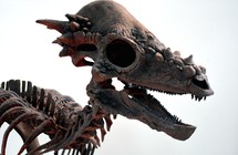 dinosaur skeletons
