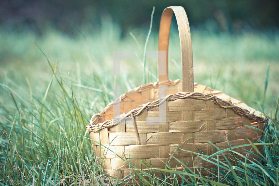 Empty gold Easter basket sitting in grass
