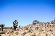 a mountain peak in a desert 