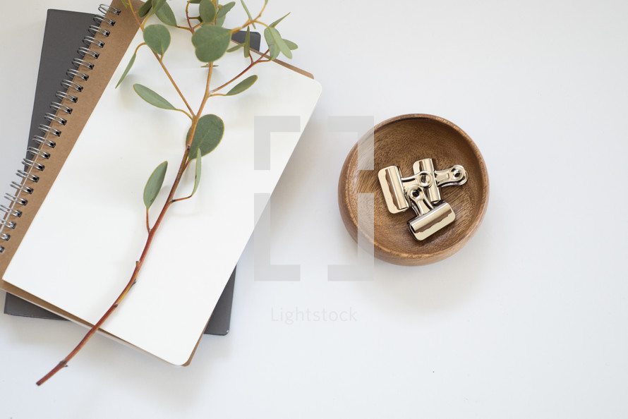 eucalyptus twig, journal, bowl, paper clasps, and coffee cup 