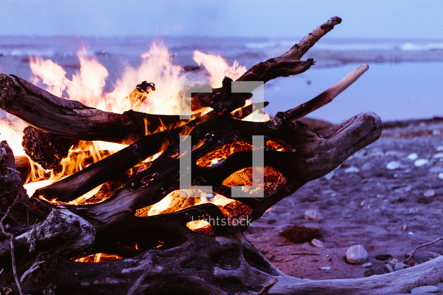 fire in driftwood on a beach 