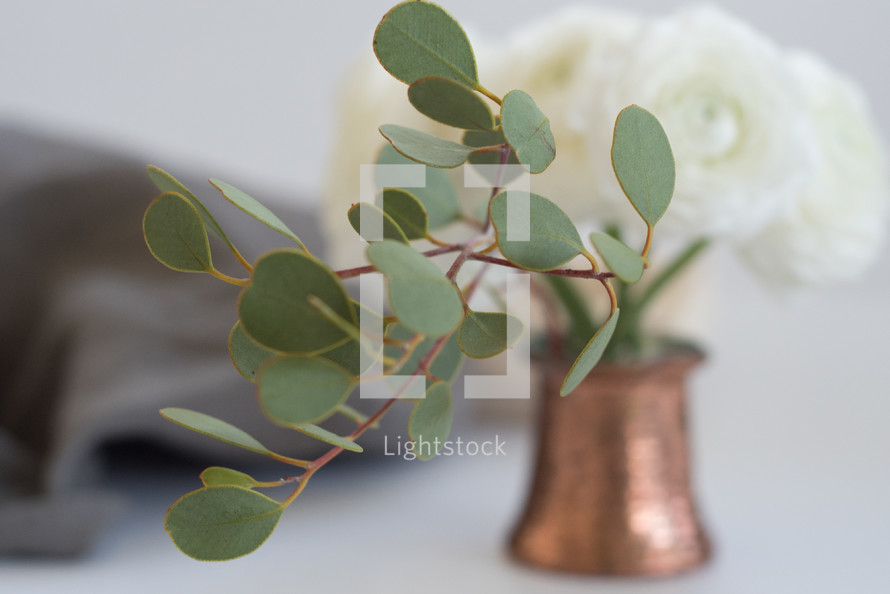 eucalyptus in a vase 