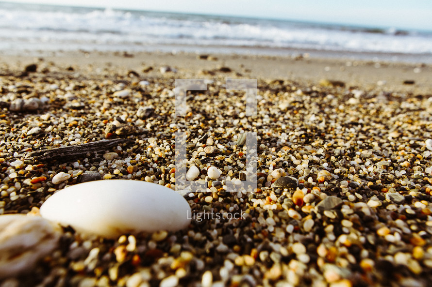 broken shells on a beach 