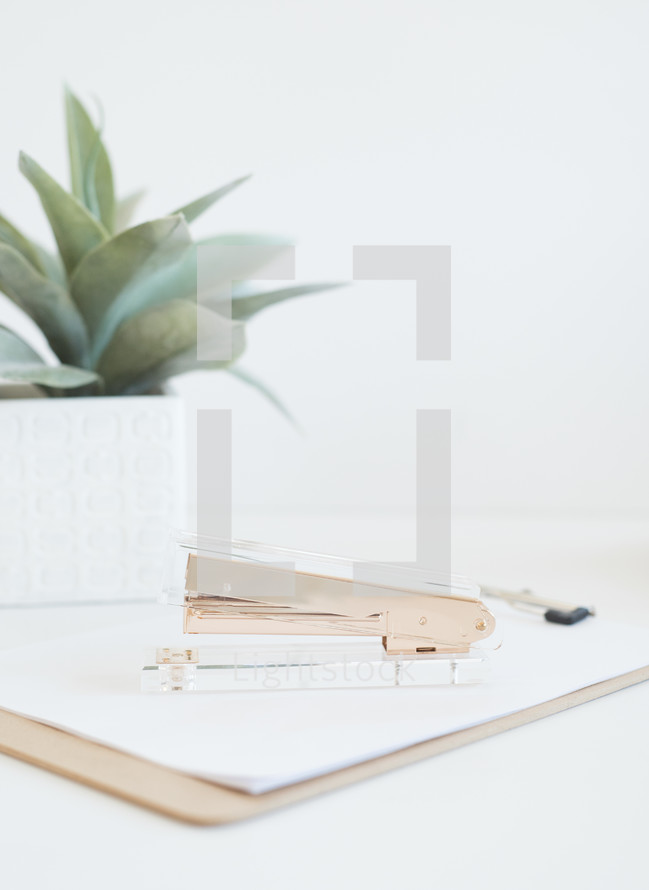 A gold stapler on a clipboard and a succulent plant on a white surface.
