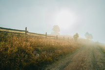 Morning in village. Fog on horizon, sunlight shining through haze. Dew glistens on slightly yellowed grass by the path. Calmness of nature, pacification. High quality photo