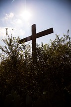 cross in tall bushes