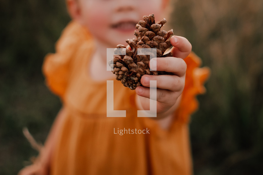 a child holding a pine cone 