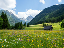 Cabin in Alpine Meadow in the Alps