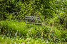 bench by pond