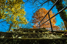 stairs to autumn