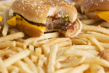 hamburger and french fries 