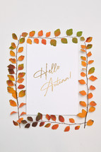 Autumn leaves Frame on white background and text