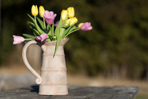 tulips in a pitcher 