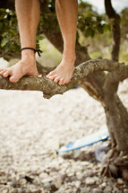 man walking barefoot on a tree branch 
